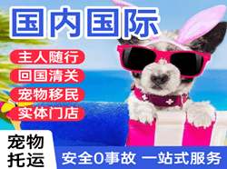 九江庐山航空货运国际宠物托运 【国